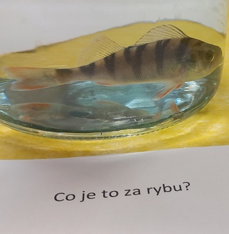 1000193920.jpg