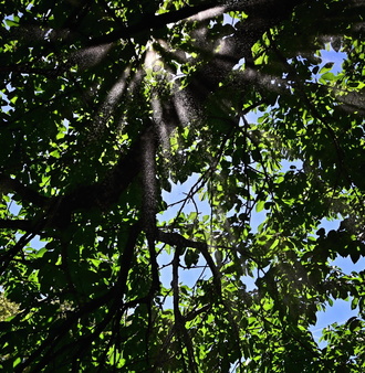 DSC_8857.JPG