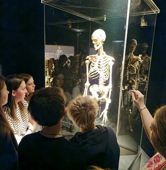 Žáci 8.A navštívili výstavu Body Worlds
