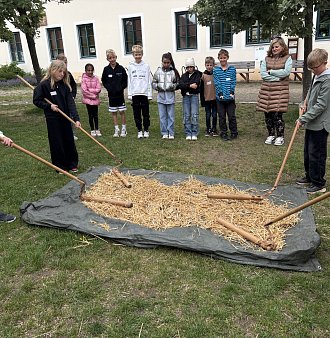 Toulcův dvůr