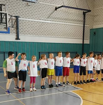 Minibasketbal