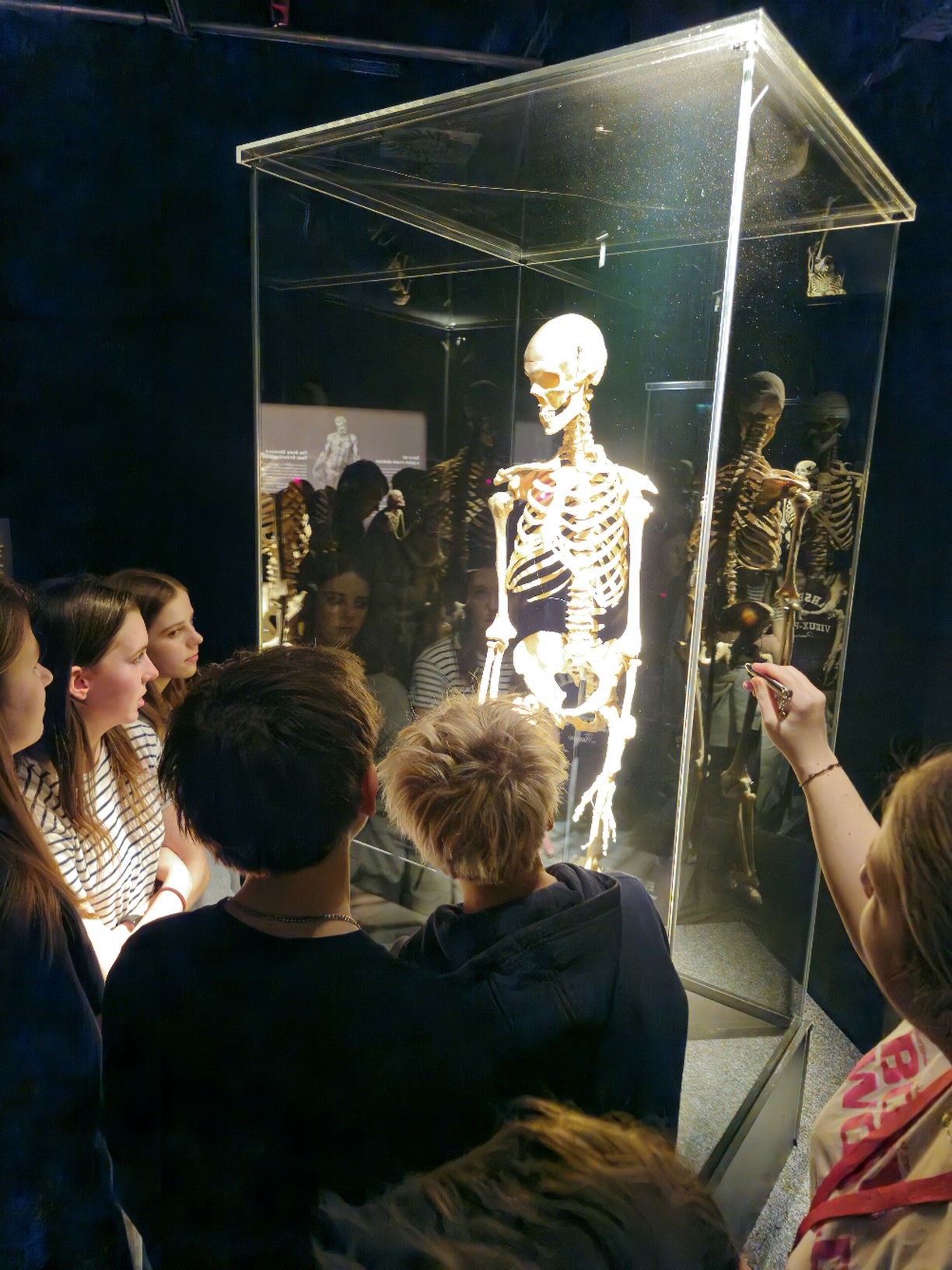 Žáci 8.A navštívili výstavu Body Worlds