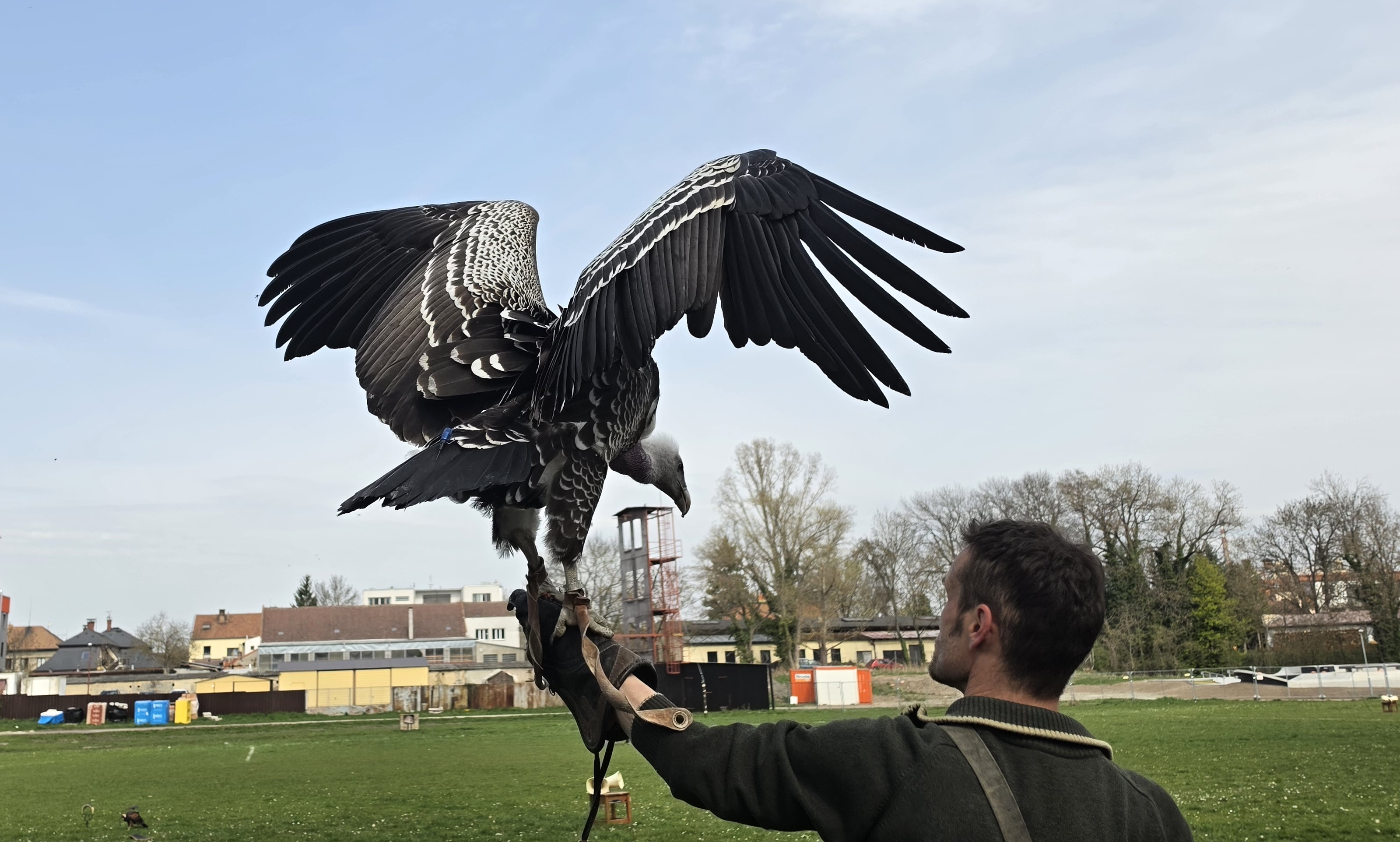 Letová ukázka dravců Zayferus