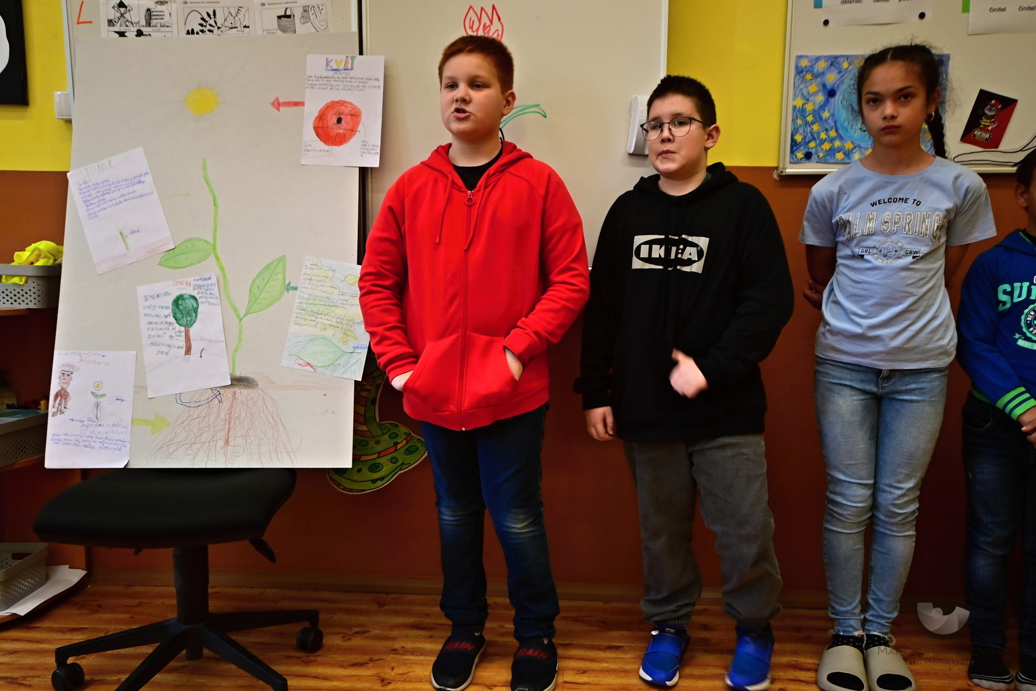 Projekt o částech rostlin