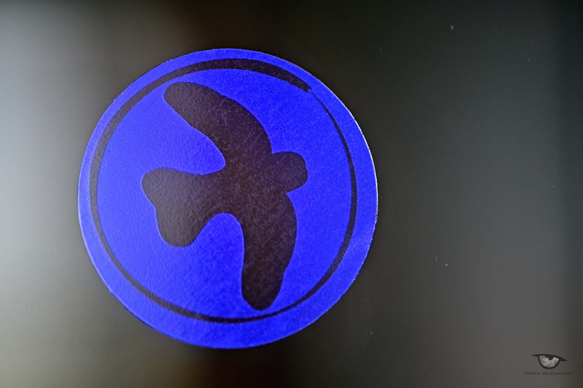 Ochrana ptáků na Tyršovce